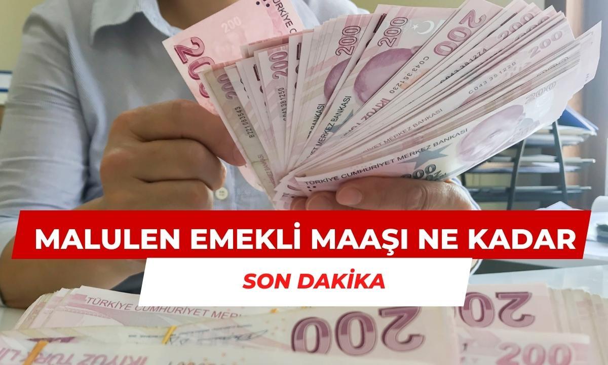 Malulen Emekli Maaşı Ne Kadar oldu devlet ödemeleri