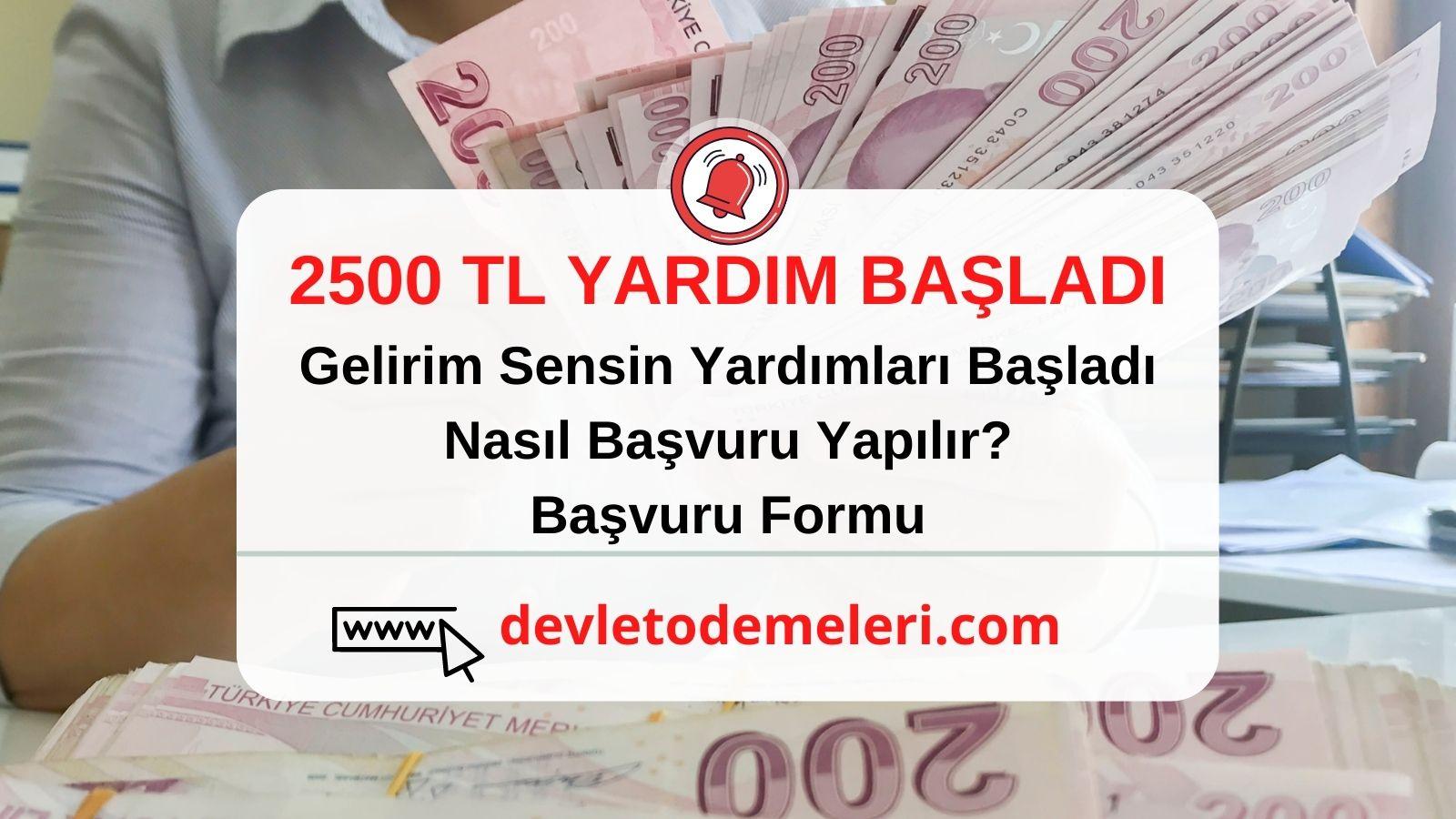 Gelirimsensin com Yardım Başvurusu Başladı. 2500 Tl Yardım Nasıl Alınır? Kimler Başvurabilir?