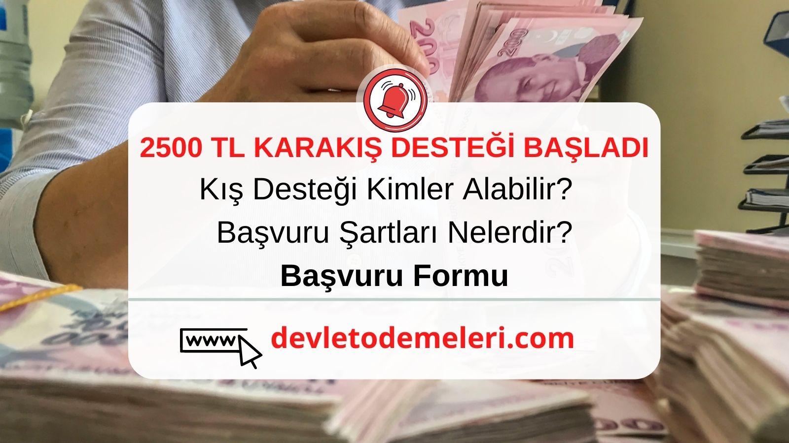 Devlet Ödemeleri 2500 TL Karakış Desteği Nasıl Alınır? Başvuru Formu