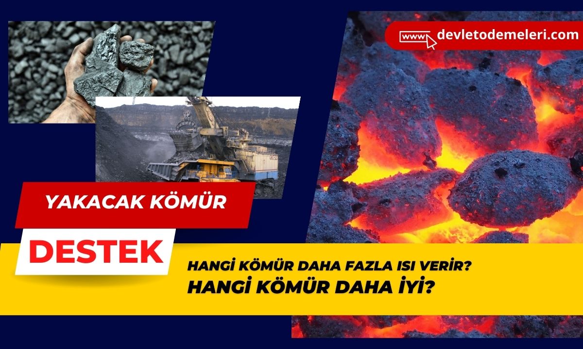 Hangi Kömür Daha İyi?