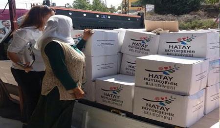 Hatay Büyükşehir Belediyesi Yardım Başvurusu