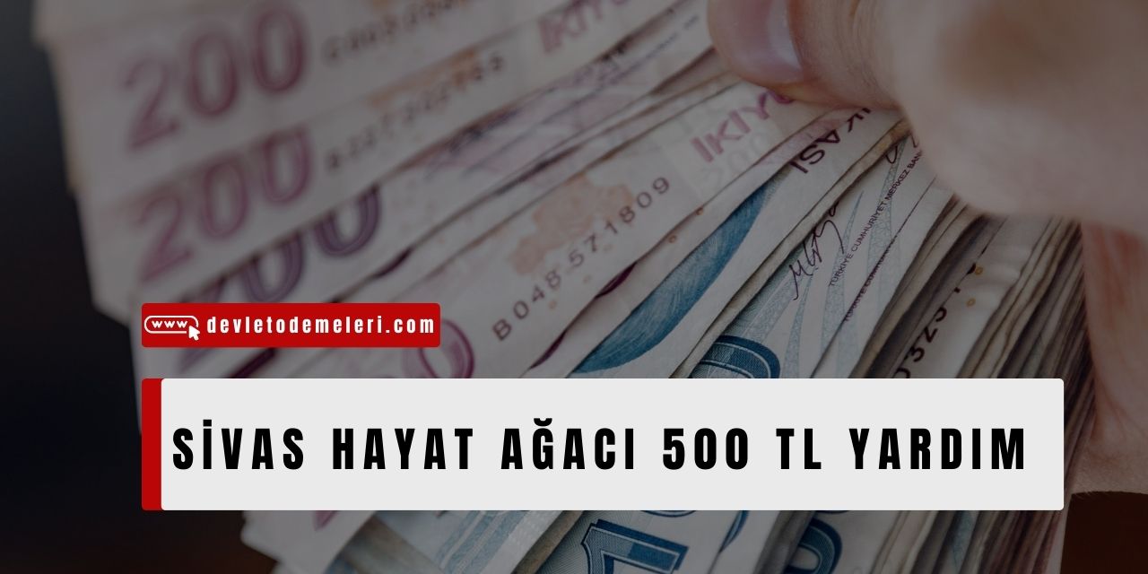 Sivas Hayat Ağacı 500 TL Yardım Başvurusu Başladı. Kimler Başvurabilir? Başvuru Formu