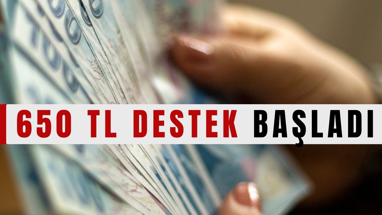 650 TL Destek Başladı. Kimler Nasıl Başvurabilir? Başvuru Şartları Nelerdir?