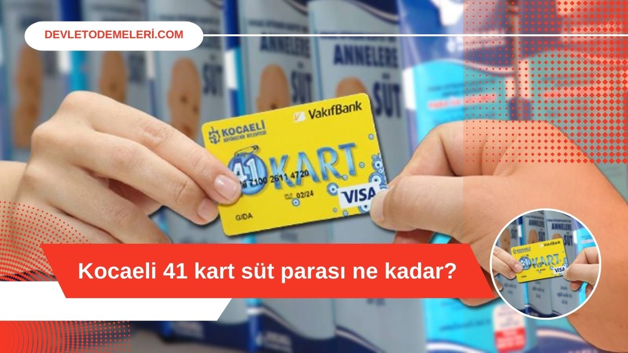 Kocaeli 41 kart süt parası ne kadar? Kimlere Verilir? Başvuru Nasıl Yapılır?