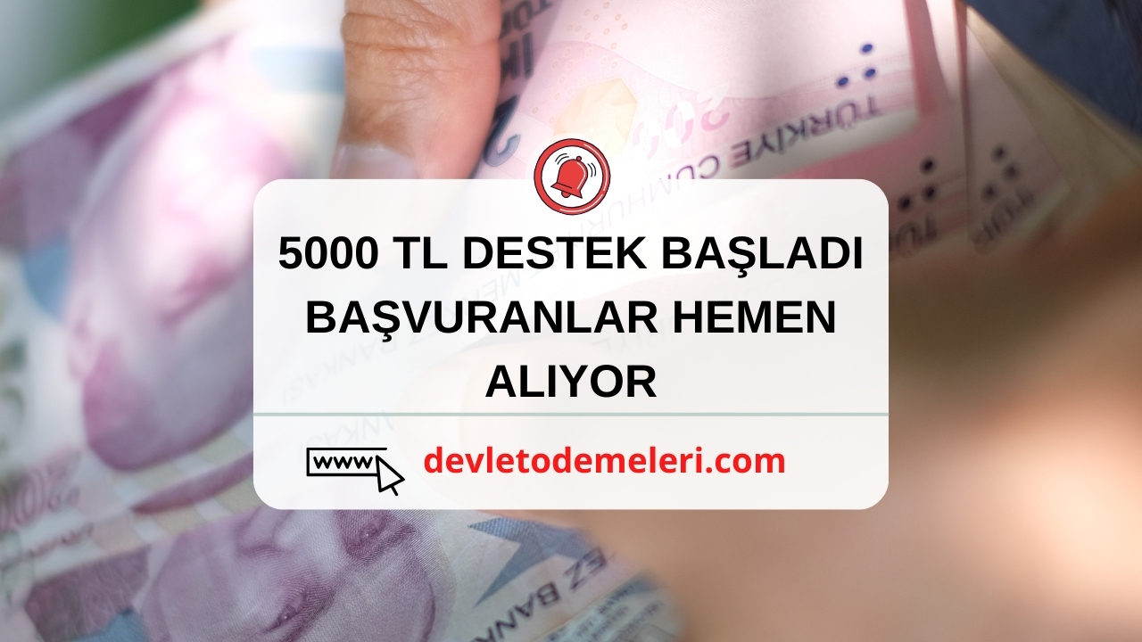 İhtiyaç Sahibi Ailelere 5000 TL Nakit destek. Diğer Aile Yardımı Nedir? Başvuru Nasıl Yapılır?