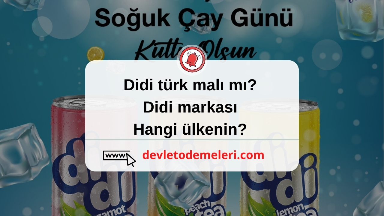 didi türk malı mı