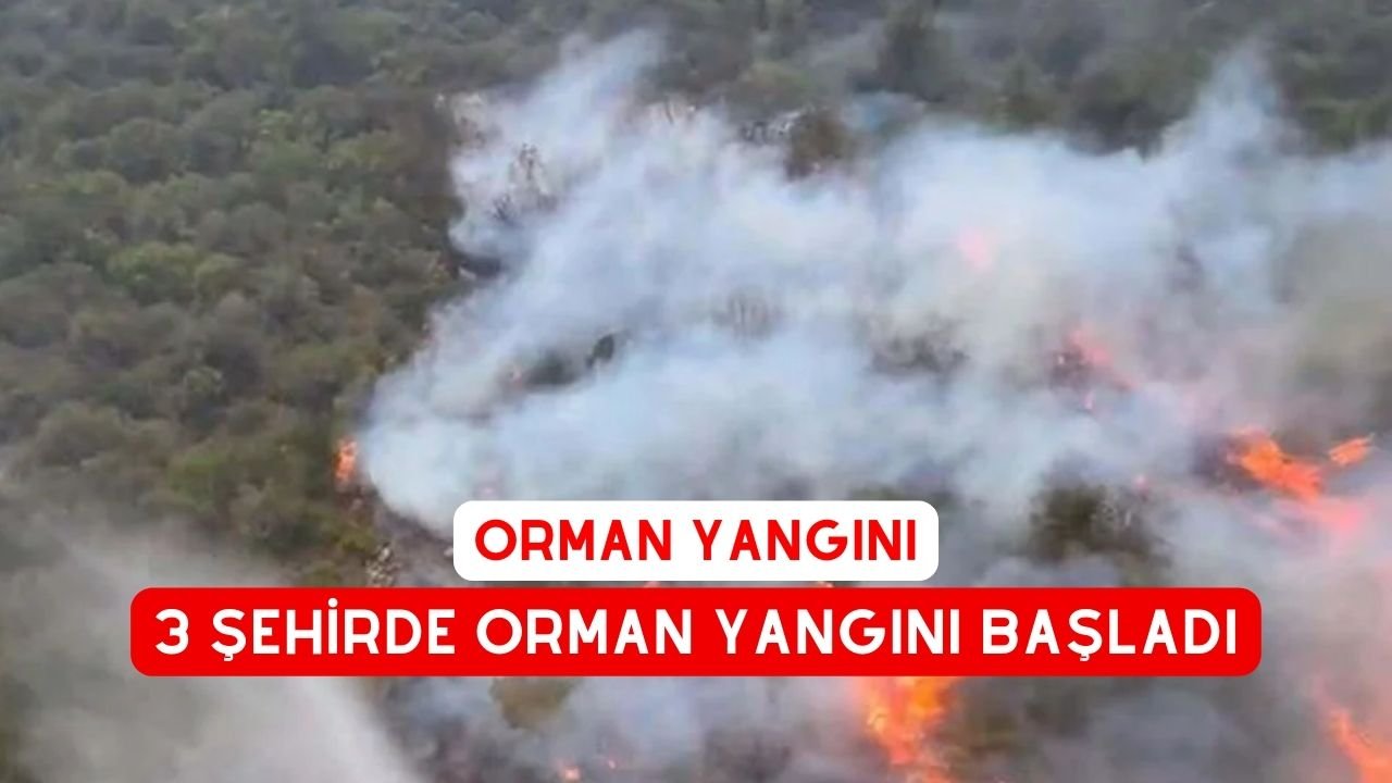 3 Ayrı Şehirde Orman yangını.  İzmir, Balıkesir ve Kahramanmaraş’ta Orman Yangınları Başladı