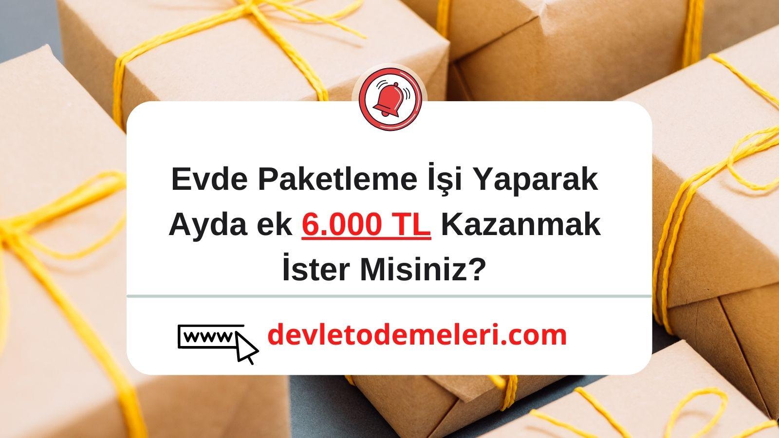 Bursa Evde Paketleme İşi