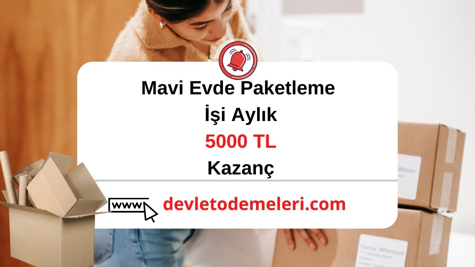 Mavi Evde Paketleme İşi