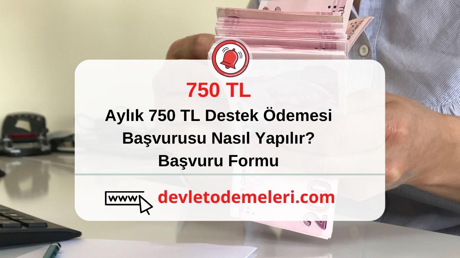 Aylık 750 TL Destek Ödemesi Başvurusu Nasıl Yapılır?