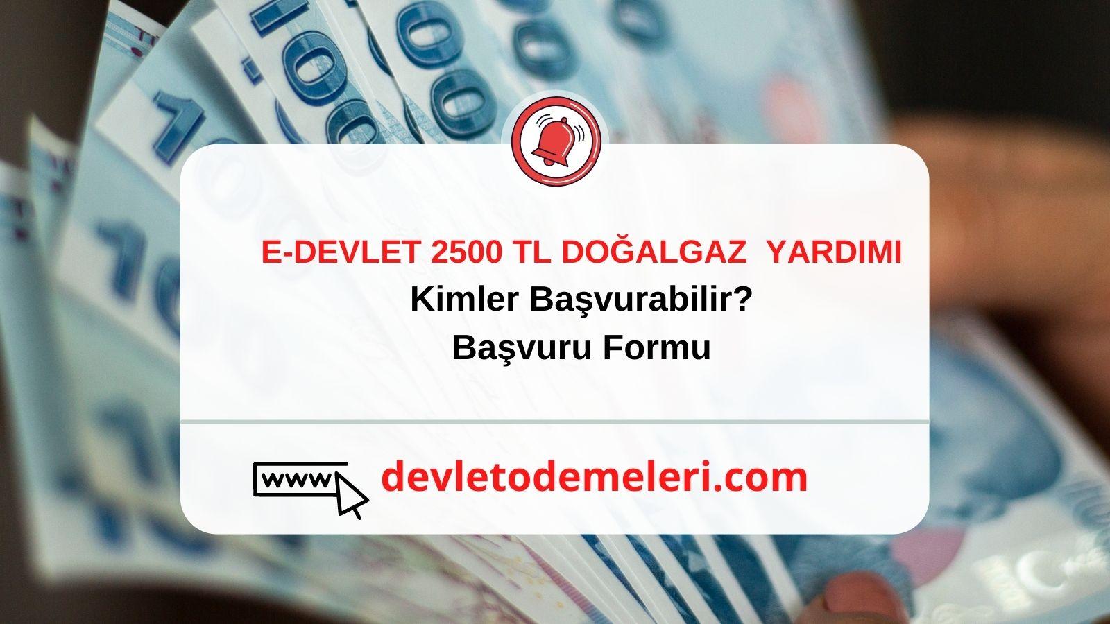 E-devlet Doğalgaz Başvurusu Nasıl Yapılır? 2500 tl doğalgaz desteği nasıl alınır? Başvuru Formu