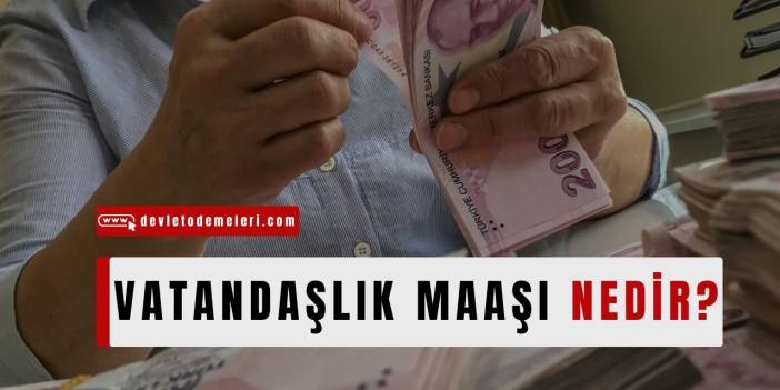 Vatandaşlık Maaşı Nedir? Vatandaşlık Maaşı Nasıl Alınır? Başvuru Formu ve Şartları Nelerdir?