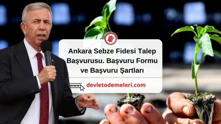 Ankara Sebze Fidesi Talep Başvurusu. Başvuru Formu ve Başvuru Şartları