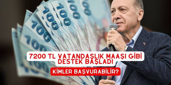 7200 TL Vatandaşlık Maaşı Gibi Destek Başladı. Kimler Başvurabilir? Başvuru Formu