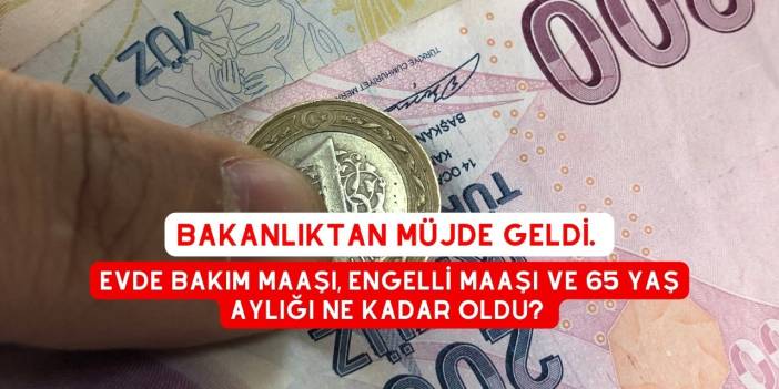 Bakanlıktan Müjde Geldi. Evde Bakım Maaşı, Engelli Maaşı ve 65 Yaş Aylığı ne Kadar Oldu?