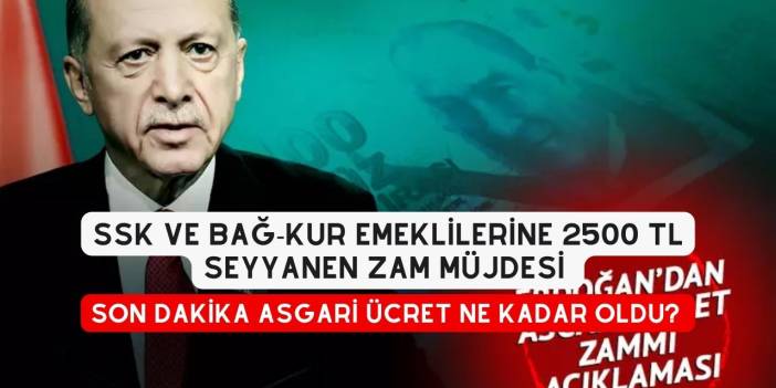 SSK ve BAĞ-KUR emeklilerine 2500 TL Seyyanen Zam Müjdesi. Son Dakika Asgari Ücret Ne Kadar Oldu? Devlet Ödemeleri