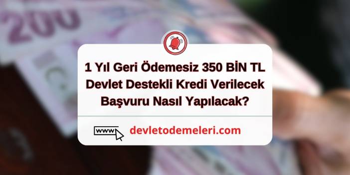 1 Yıl Geri Ödemesiz 350 BİN TL Devlet Destekli Kredi Verilecek. Başvuru Nasıl Yapılacak?