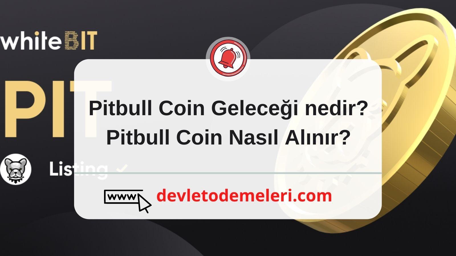 Pitbull Coin Geleceği nedir Pitbull Coin Nasıl Alınır