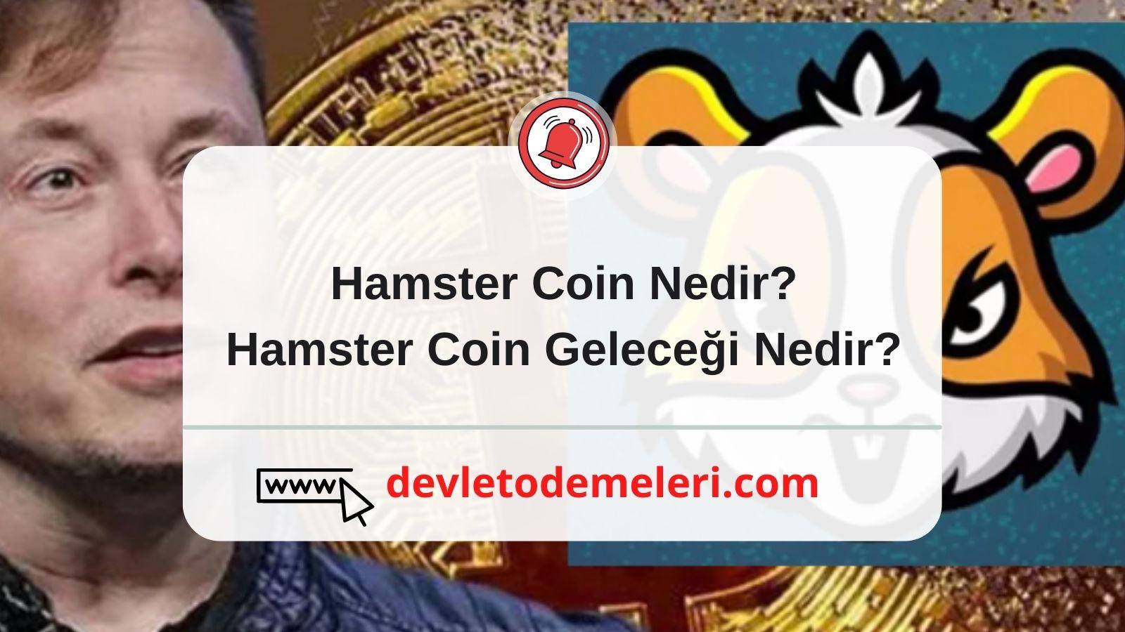 Hamster Coin Nedir Hamster Coin Geleceği Nedir