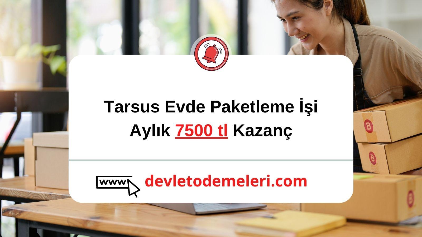 Tarsus Evde Paketleme İşi