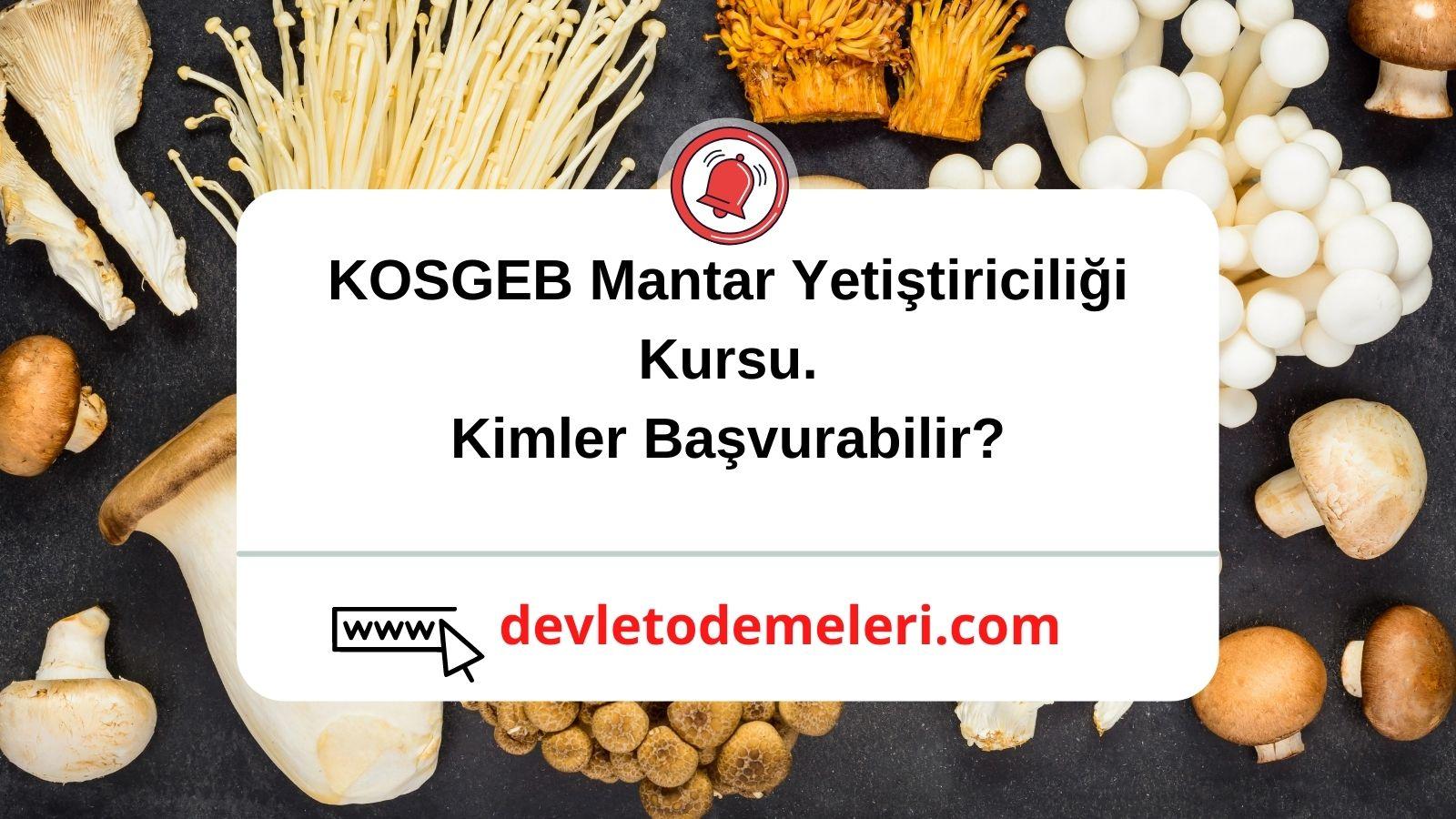 KOSGEB Mantar Yetiştiriciliği Kursu