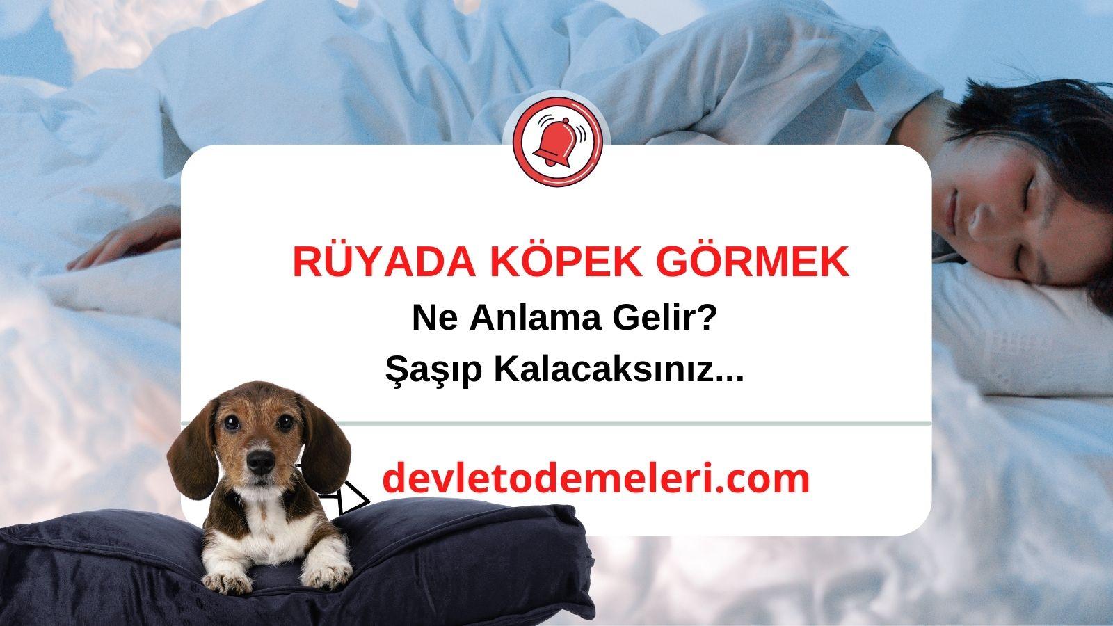 Rüyada Köpek Görmek Ne Anlama Gelir