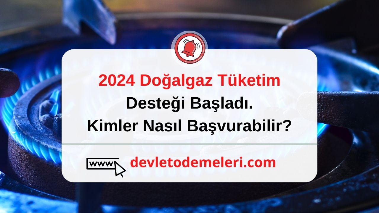 2024 Doğalgaz Tüketim Desteği Başladı. Kimler Nasıl Başvurabilir