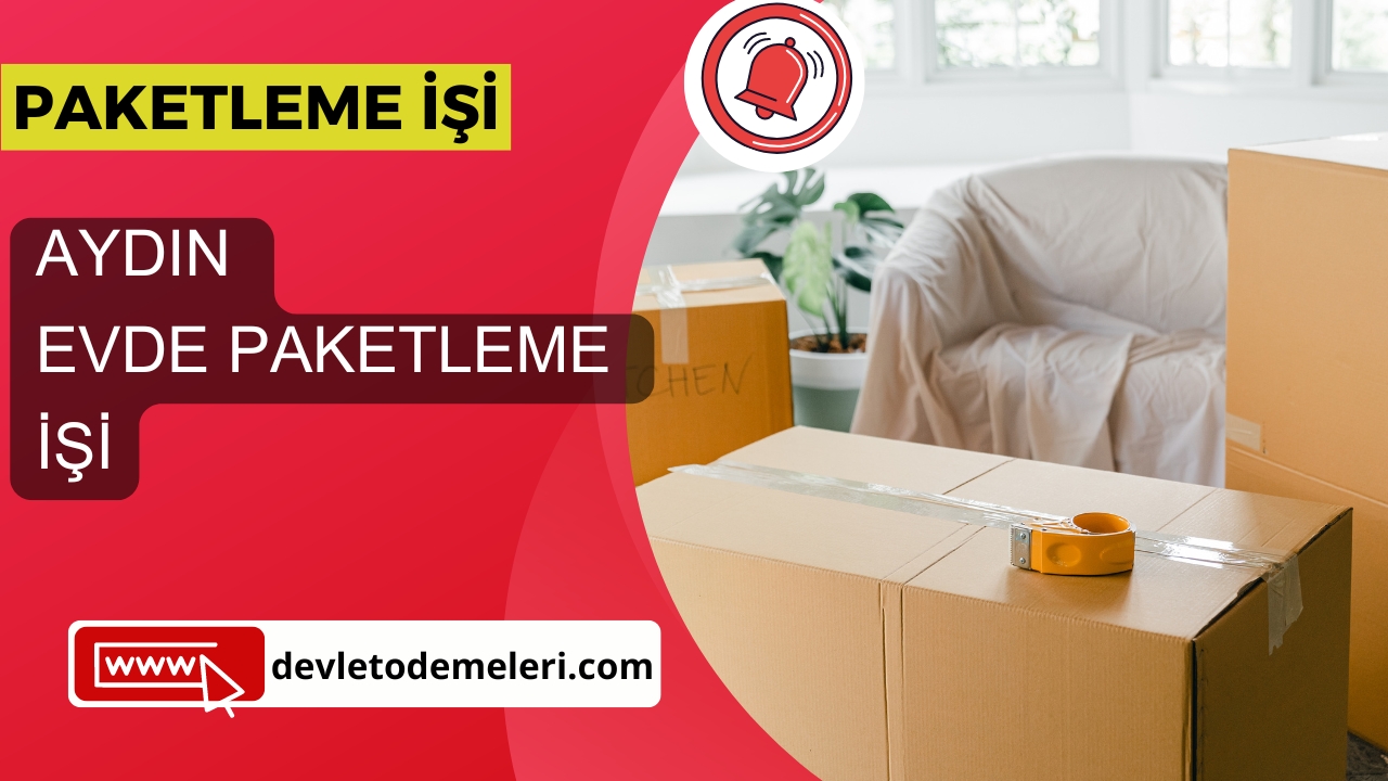 Aydın Evde Paketleme İşi