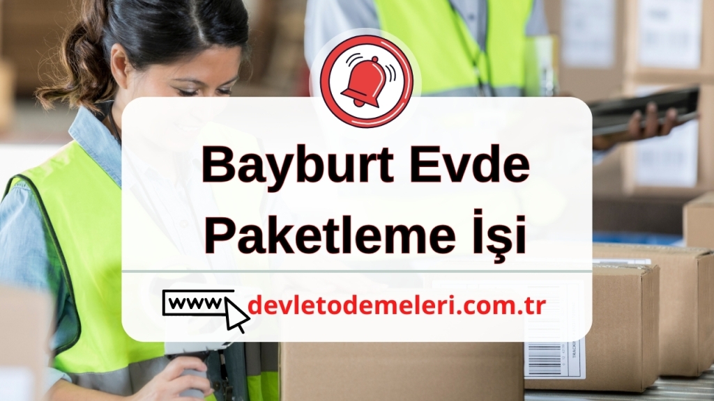 Bayburt Evde Paketleme İşi