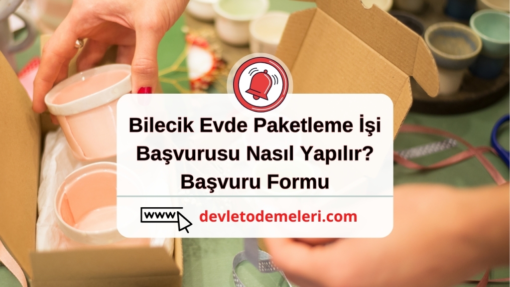 Bilecik Evde Paketleme İşi Başvurusu Nasıl Yapılır?