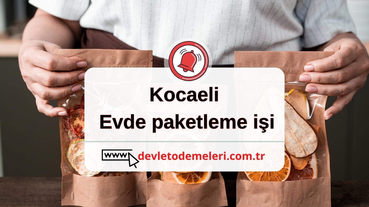 Kocaeli evde paketleme işi