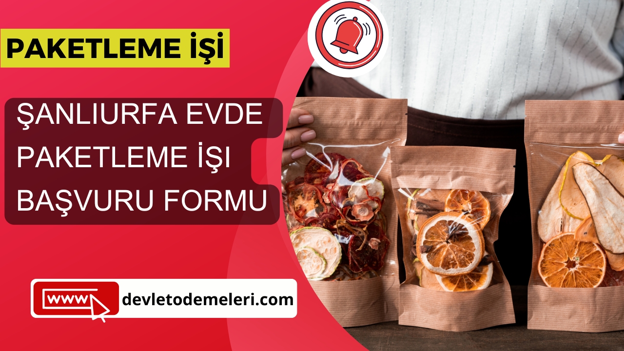 Şanlıurfa Evde Paketleme İşi başvuru formu