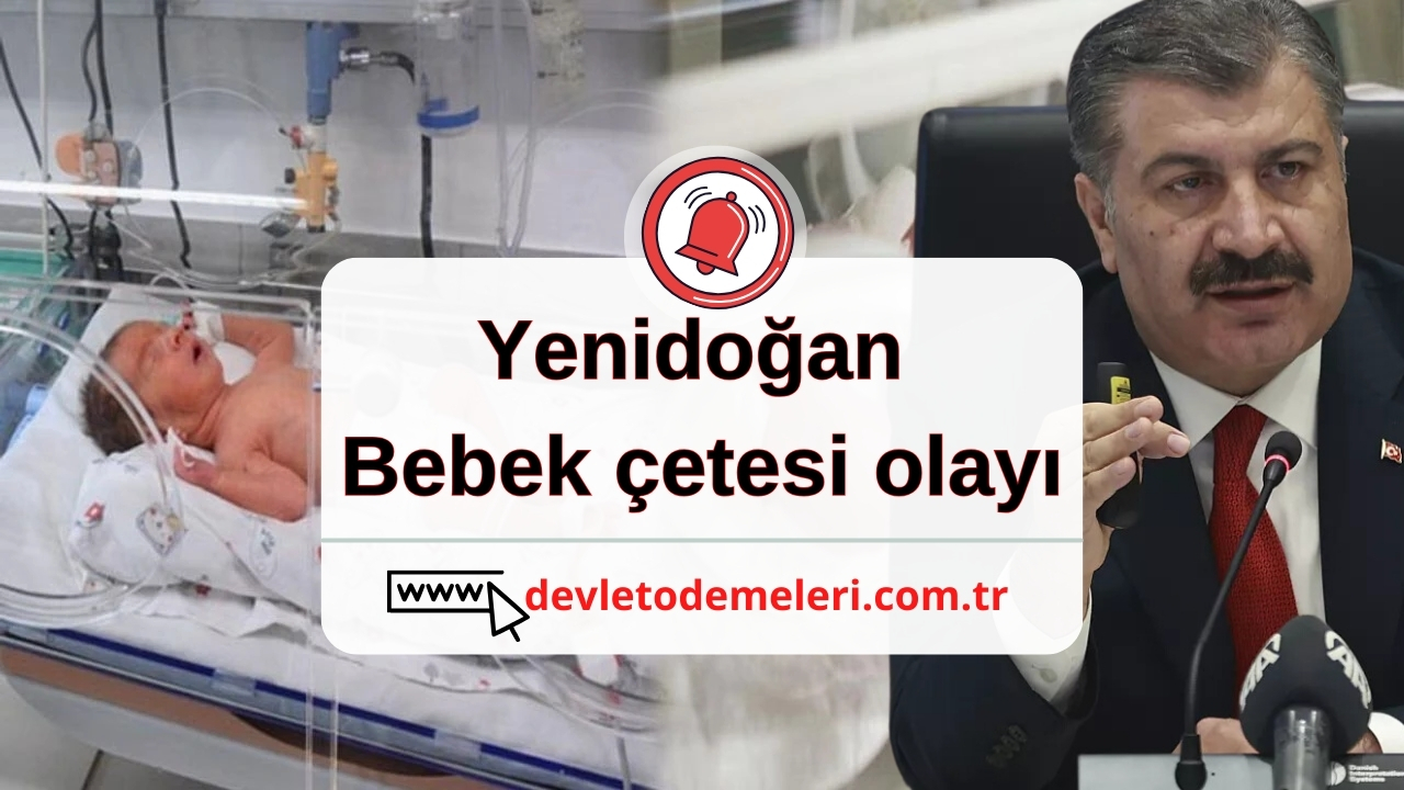 yenidoğan bebek çetesi olayı