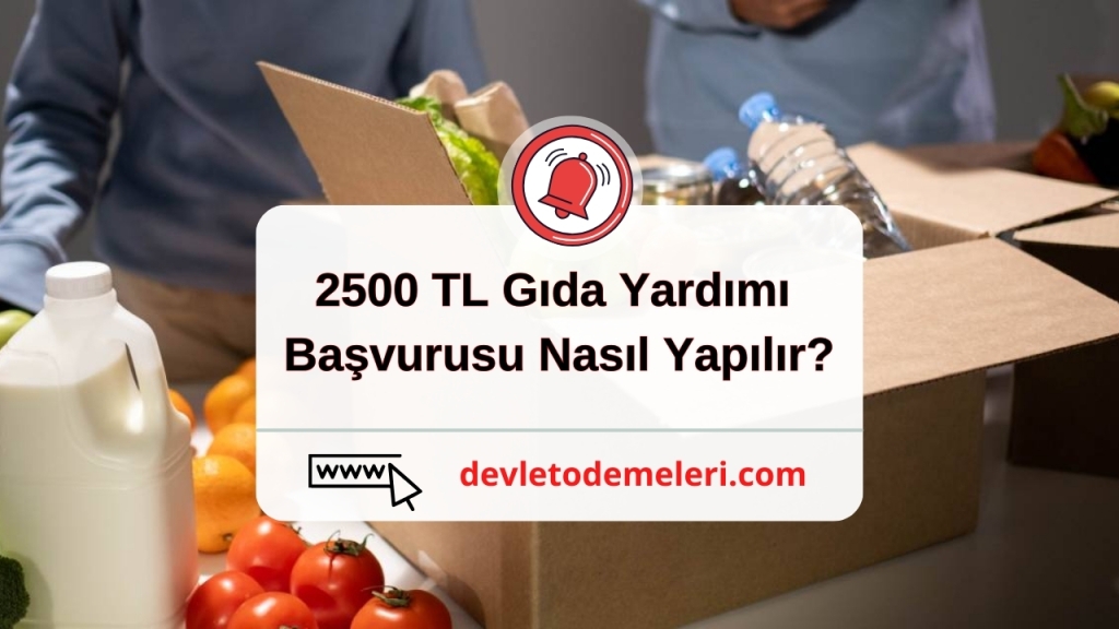 2500 TL Gıda Yardımı Başvurusu Nasıl Yapılır?