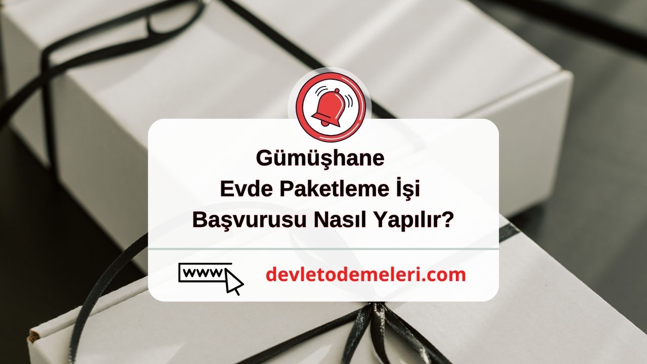 Gümüşhane Evde Paketleme İşi 