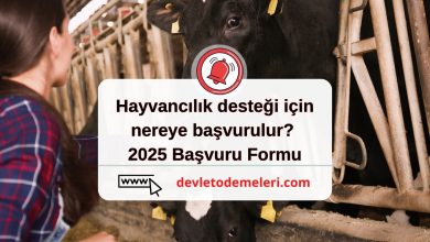 Hayvancılık desteği için nereye başvurulur? 2025 Başvuru Formu