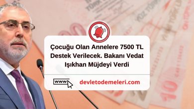 Çocuğu Olan Annelere 7500 TL Destek Verilecek. Bakanı Vedat Işıkhan Müjdeyi Verdi